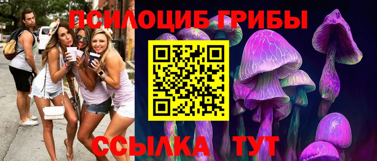 Галлюциногенные грибы мицелий  Вход с VPN  Искитим 